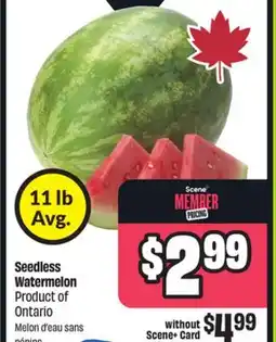 FreshCo Seedless Watermelon Product of Ontario offer