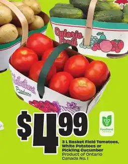 FreshCo 3 L Basket Field Tomatoes White Potatoes or Pickling Cucumber Product of Ontario Canada No 1 offer