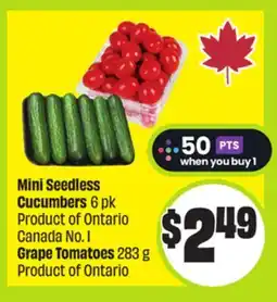 FreshCo Mini Seedless Cucumbers 6 pk Product of Ontario Canada No. 1 Grape Tomatoes 283 g Product of Ontario offer