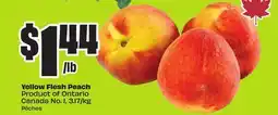 FreshCo Yellow Flesh Peach Product of Ontario Canada No. 1, 3.17/kg offer