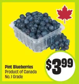 FreshCo Pint Blueberries Product of Canada No. 1 Grade offer