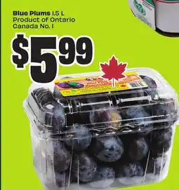 FreshCo Blue Plums 1.5 L Product of Ontario Canada No. 1 offer