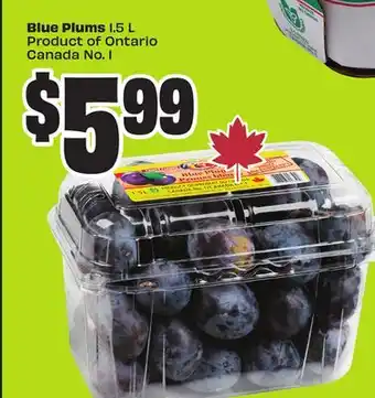 FreshCo Blue Plums 1.5 L Product of Ontario Canada No. 1 offer