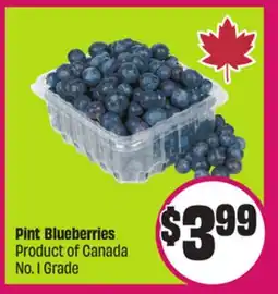 Chalo FreshCo Pint Blueberries Product of Canada No. 1 Grade offer