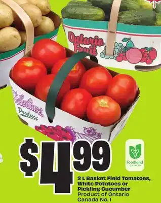 Chalo FreshCo 3 L Basket Field Tomatoes, White Potatoes or Pickling Cucumber Product of Ontario Canada No. 1 offer