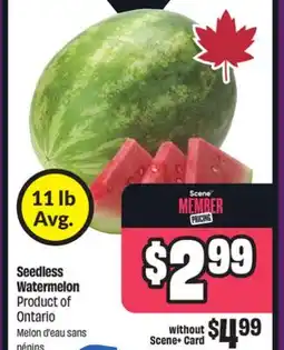 Chalo FreshCo Seedless Watermelon Product of Ontario offer