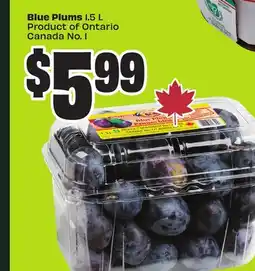 Chalo FreshCo Blue Plums 1.5 L Product of Ontario Canada No. 1 offer