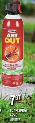 Canac Ant Out Killer foam spray 425g offer