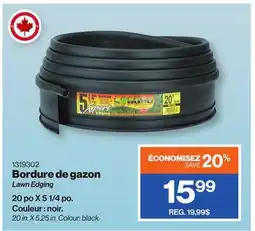 Patrick Morin Lawn Edging 20 in. X 5.25 in offer