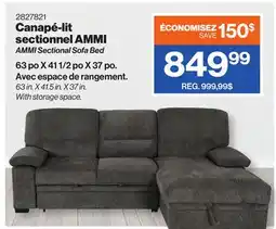 Patrick Morin AMMI Sectional Sofa Bed offer
