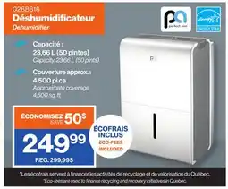 Patrick Morin Dehumidifier offer