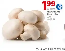 Avril champignons blancs bios offer