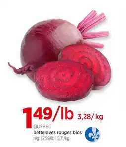 Avril betteraves rouges bios offer