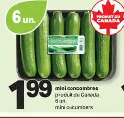L'Intermarché MINI CONCOMBRES 6 UN. | MINI CUCUMBERS offer