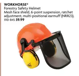 Home Hardware WORKHORSE Forestry Safety Helmet Mesh shield offer