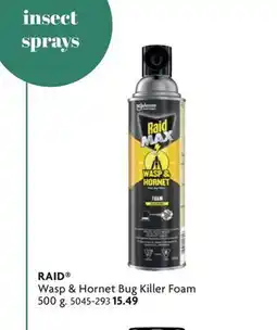 Home Hardware Wasp & Hornet Bug Killer Foam offer