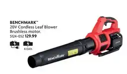 Home Hardware 20V Cordless Leaf Blower Brushless motor offer