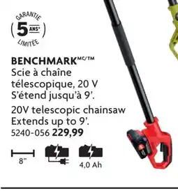 Home Hardware 20V telescopic chainsaw offer