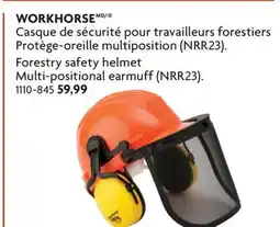 Home Hardware Forestry safety helmet Multi-positional earmuff (NRR23) offer