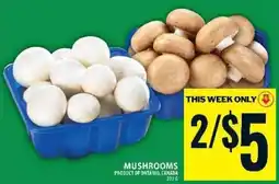 Food Basics Mushrooms offer