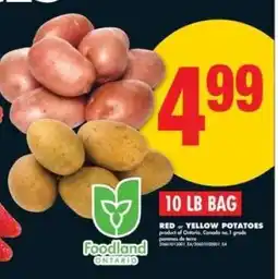 No Frills 10 LB BAG RED or YELLOW POTATOES offer