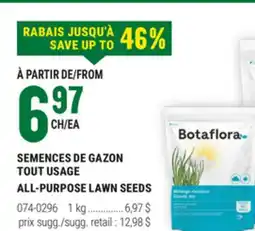BMR SEMENCES DE GAZON TOUT USAGE offer
