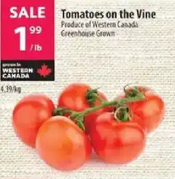 Co-op Tomatoes on the Vine offer