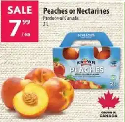 Co-op Peaches or Nectarines offer