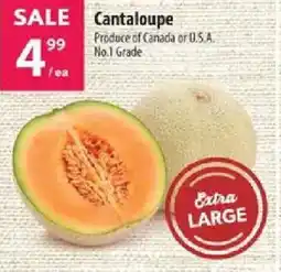 Co-op Cantaloupe offer