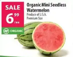 Co-op Organic Mini Seedless Watermelon offer