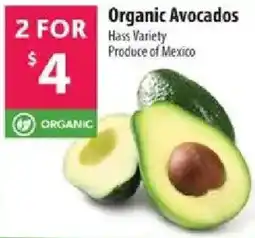 Co-op Organic Avocados offer