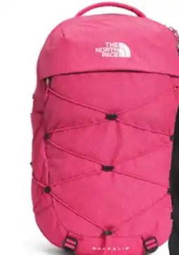 Sport Chek THE NORTH FACE BOREALIS DAYPACK offer