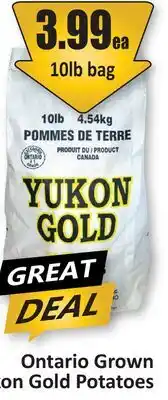 Starsky Yukon Gold Potatoes offer