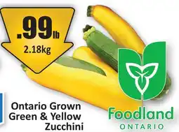 Starsky Green & Yellow Zucchini offer