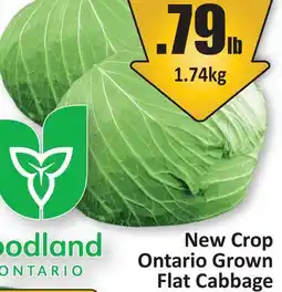 Starsky Flat Cabbage offer
