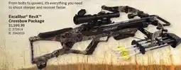 Cabela's Excalibur RevX Crossbow Package offer