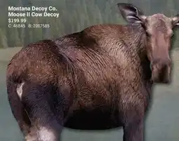 Cabela's Montana Decoy Co. Moose II Cow Decoy offer