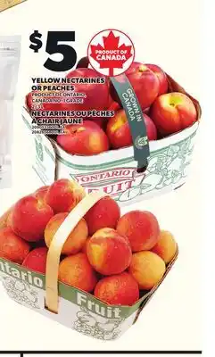Independent City Market YELLOW NECTARINES OR PEACHES OR PEACHES, 2/3 L offer