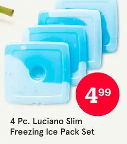 Kitchen Stuff Plus 4 Pc. Luciano Slim Freezing Ice Pack Set offer