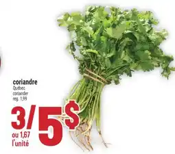 Marché Adonis Coriandre | Coriander offer