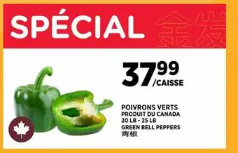 Kim Phat GREEN BELL PEPPERS offer