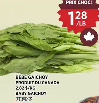 Kim Phat BABY GAICHOY offer