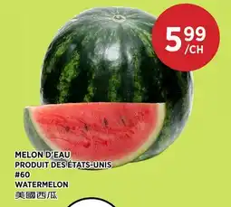 Kim Phat WATERMELON offer