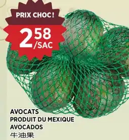 Kim Phat AVOCADOS offer