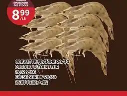 Kim Phat FRESH SHRIMP 20/30 offer