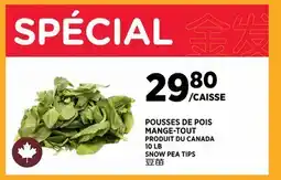 Kim Phat SNOW PEA TIPS offer