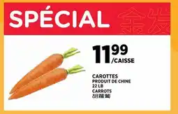 Kim Phat CARROTS offer