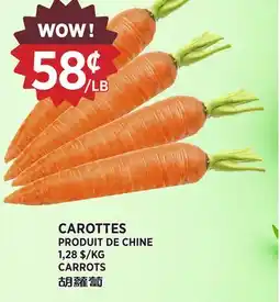 Kim Phat CARROTS offer