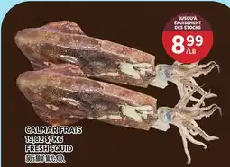 Kim Phat FRESH SQUID offer