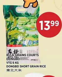 Kim Phat DONGBEI SHORT GRAIN RICE offer